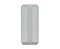Sony SRS-XE300 Szary - 1051950 - zdjęcie 1
